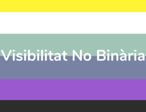 Visibilitat No Binària